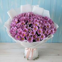 Букет цветов из:  Хризантемы в Донино