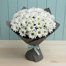 Букет цветов из:  Хризантемы в Донино