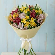 Букет цветов из:  Альстромерии #REPLACE_PRED# Донино